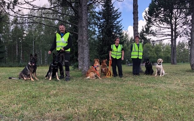 koulutetut homekoirat